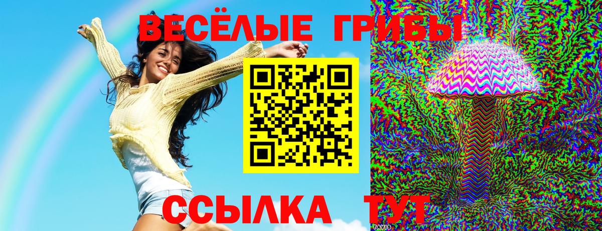 Псилоцибиновые грибы Magic Shrooms  закладки  Темрюк  Вход с VPN  Галлюциногенные грибы Magic Shrooms 
