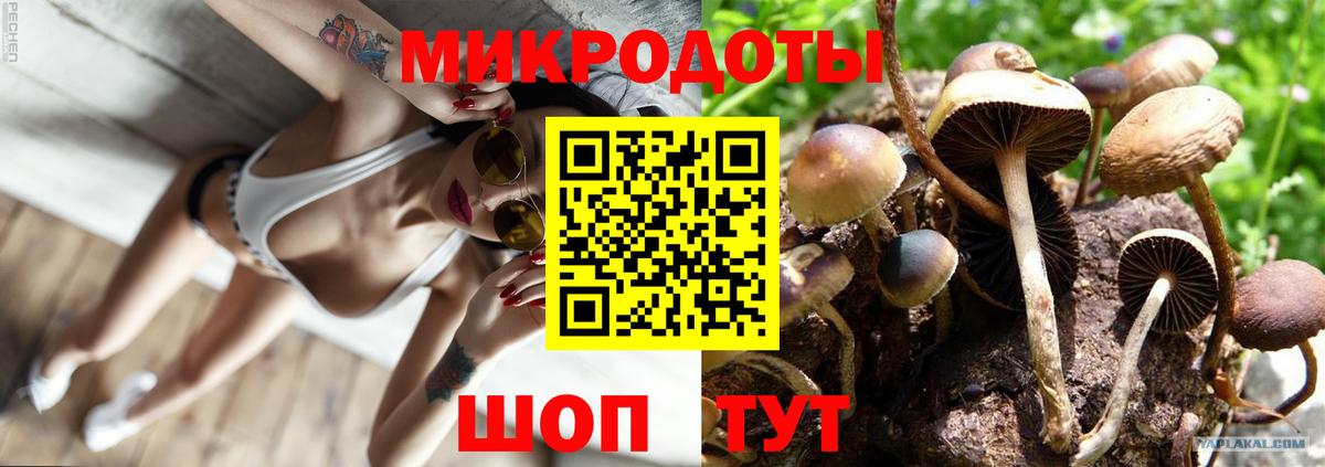 Галлюциногенные грибы Cubensis Темрюк